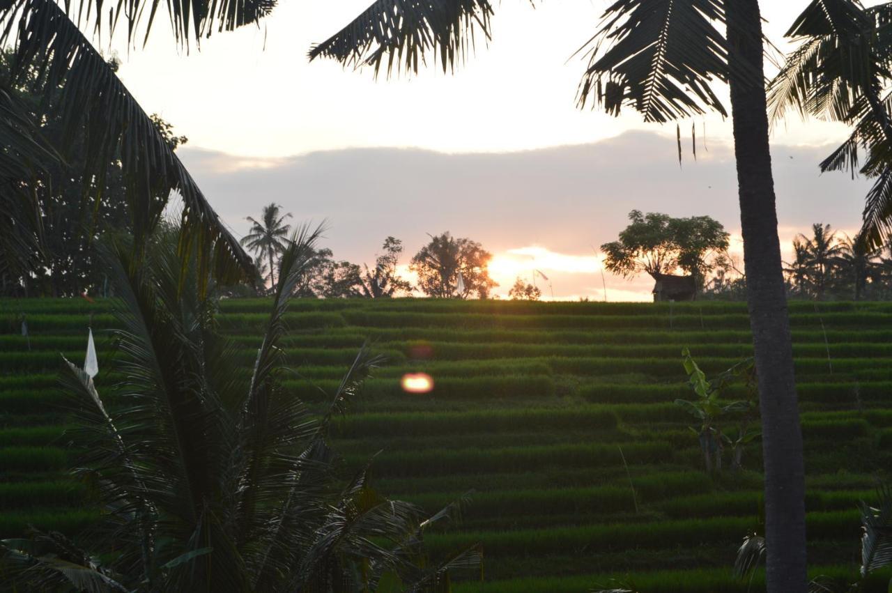 Serenity Private Villa Mas Ubud Exterior foto
