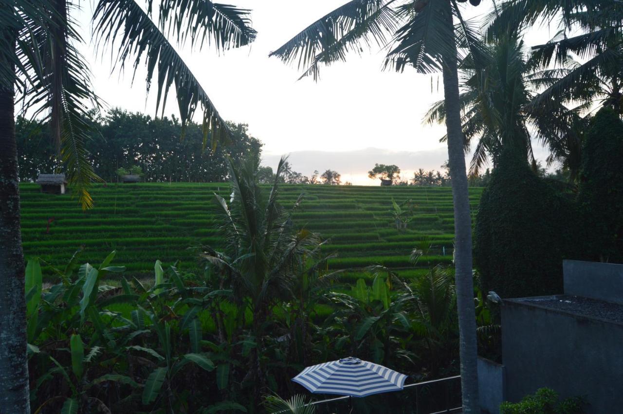 Serenity Private Villa Mas Ubud Exterior foto