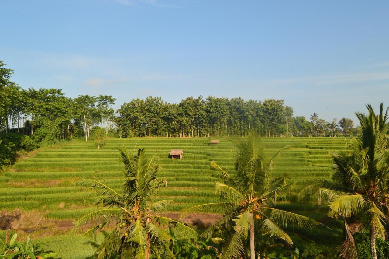 Serenity Private Villa Mas Ubud Exterior foto