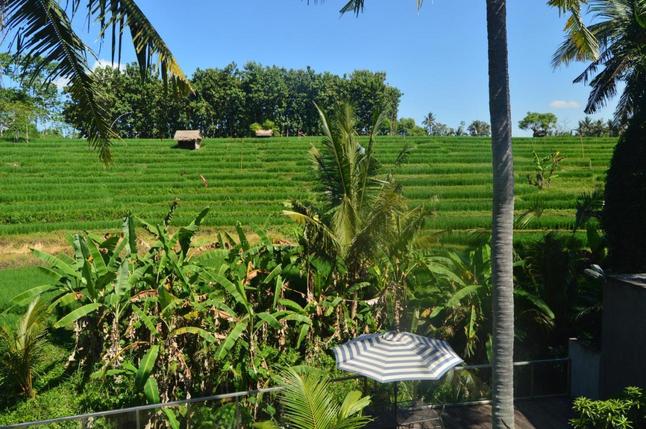 Serenity Private Villa Mas Ubud Exterior foto